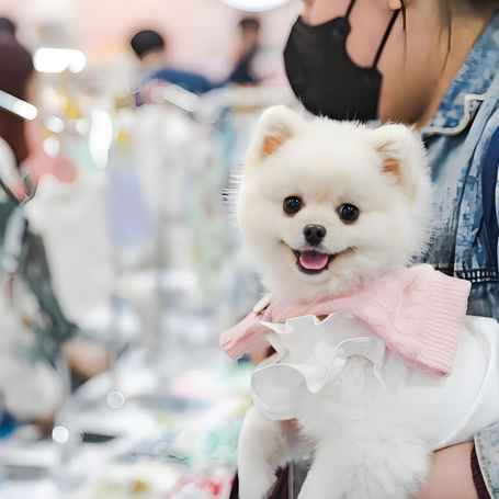 2025金诺·亚太国际宠物用品展览会