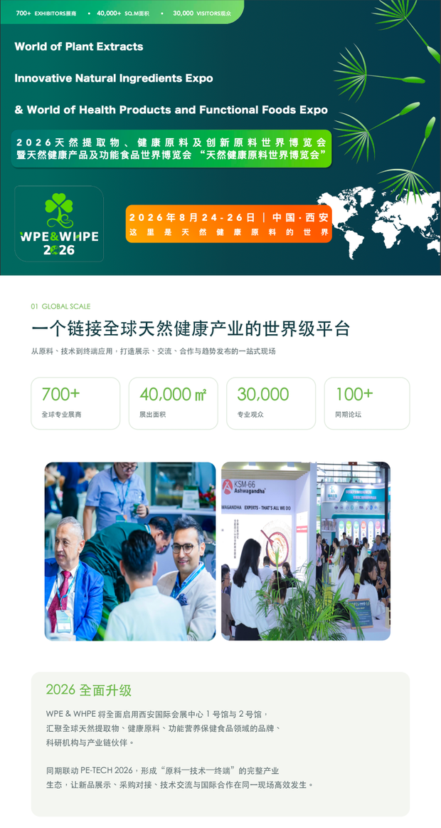 51zhan_20260723_9JBHAdaVR3XQtii4GVpiu.png
