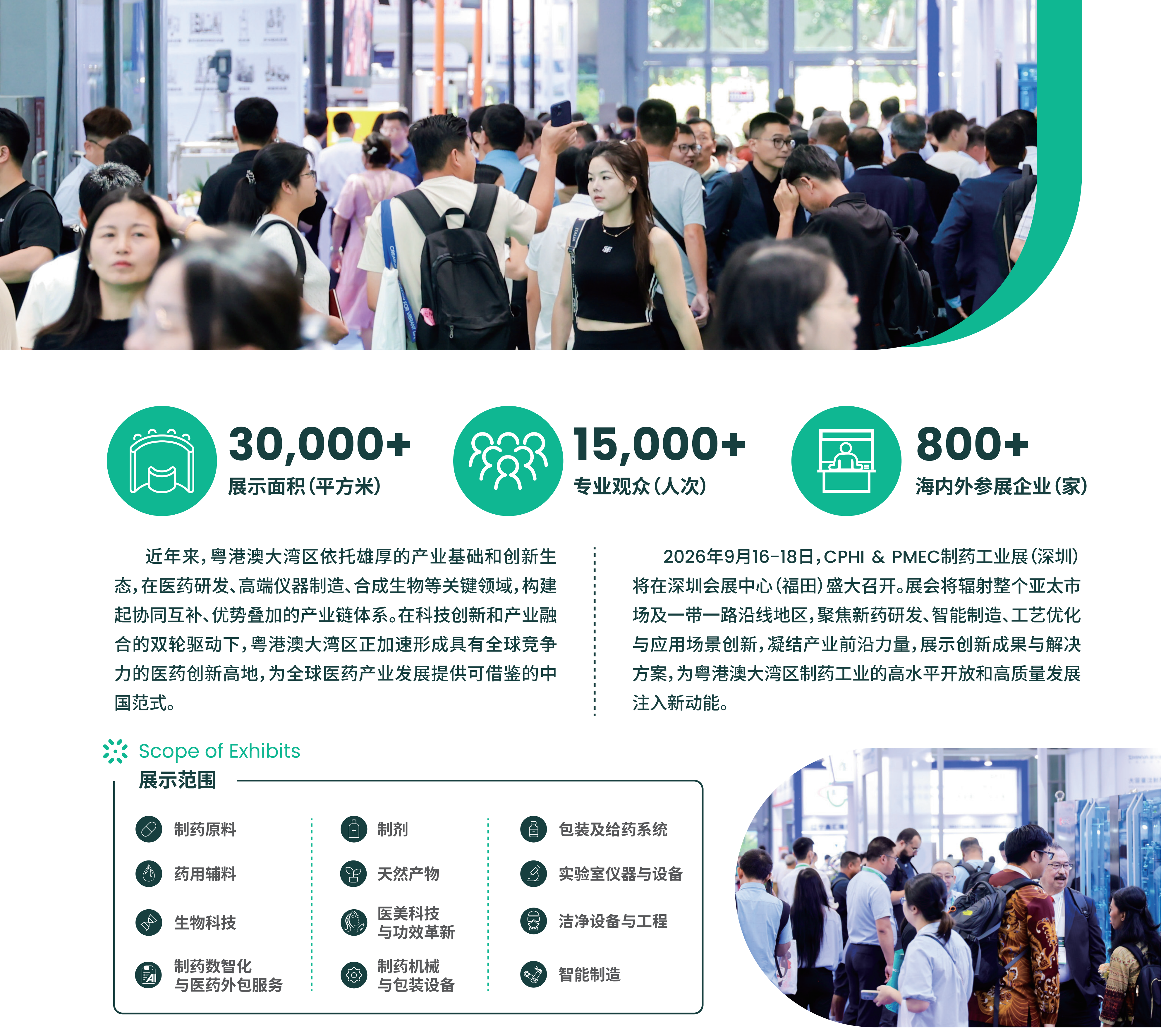 51zhan_20260729_z-IvA2zOPzX08rEaU5Ow8.png