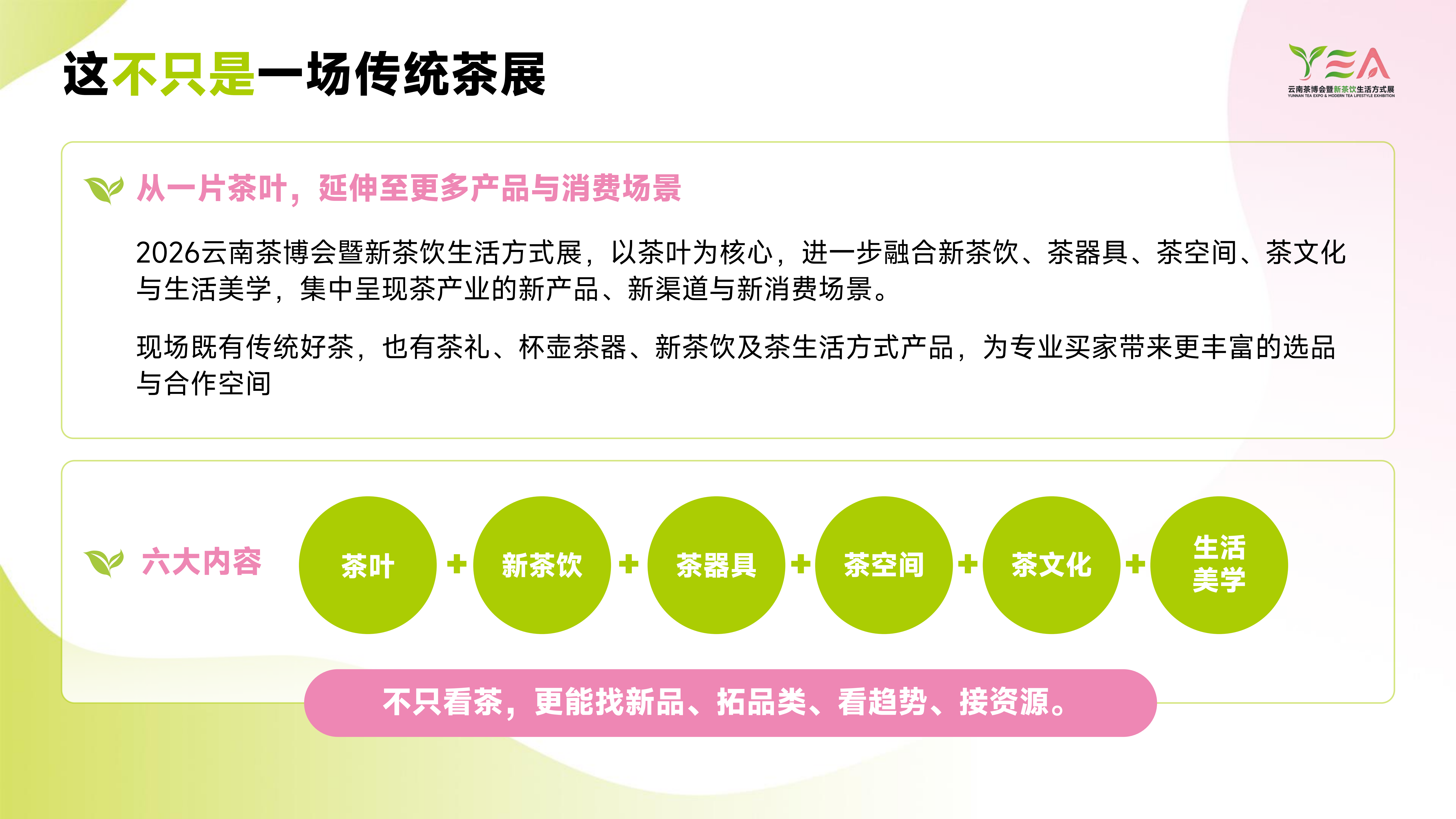 51zhan_20260820_CemZrAjpDuZ-_w0Ewnv0Q.png